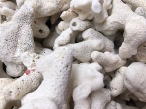 沖縄のビーチ（砂浜）