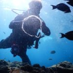 ダイビングの器材（軽器材）