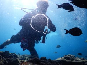 ダイビングの器材（軽器材）