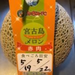 宮古島メロン