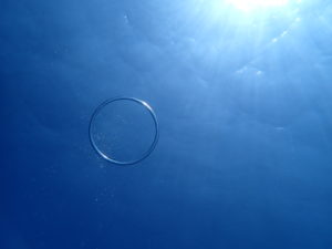 体験ダイビングで作ろう！バブルリング！