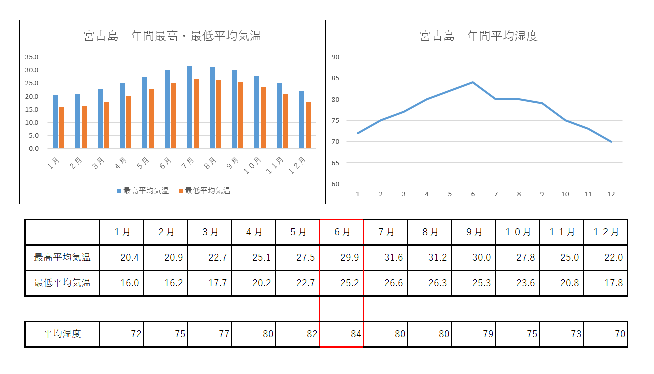 ６月のシュノーケリングについて 貸切 格安 初心者向け 宮古島の体験ダイビングのお店デミ