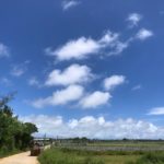 夏至南風!梅雨明け!