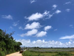 夏至南風!梅雨明け!
