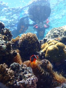 お客様の声　６月１５日のツアー