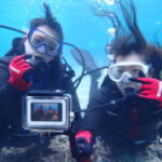 2月12日 宮古島!貸切体験ダイビング日記!