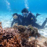 4月13日 宮古島の美ら海で✨貸切体験ダイビング!!!