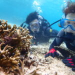 6月30日 真夏の宮古島!暑~い日こそ人気のマリンスポーツで癒されに♡体験ダイビングツアー☆彡