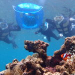 7月25日 家族旅行の思い出作り!大人気のシュノーケリングで美ら海大冒険(*^▽^*)