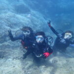 8月16日 大人気の海遊び♡家族でご友人でダイビングやシュノーケリング楽しんできましたよ♪