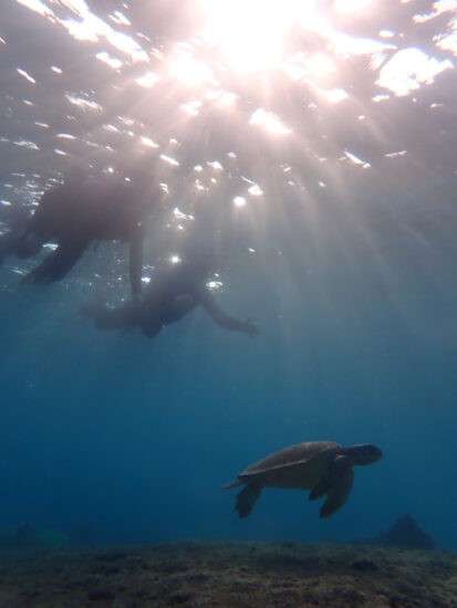 ９月１９日　体験ダイビングにシュノーケリング！宮古島の海を大満喫してきました♡