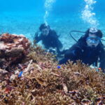 2月15日 卒業旅行でご来島~♫チャレンジするのは・・・ロングビーチ体験ダイビング♫