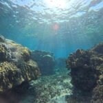 4月29日 ロングビーチ体験ダイビングで60分の水中世界大満喫!