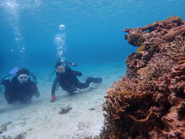 ４月２１日　サンゴにお魚に水中浮遊♡体験ダイビングで素敵な体験☆　
