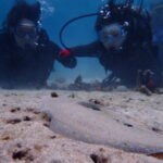4月26日 水中スクーターに体験ダイビング!宮古島の海遊びはDEIで決まり♫